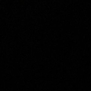 Meet your Posher, Lila